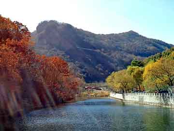 天天彩好彩天天免费，鹤山seo搜索引擎优化